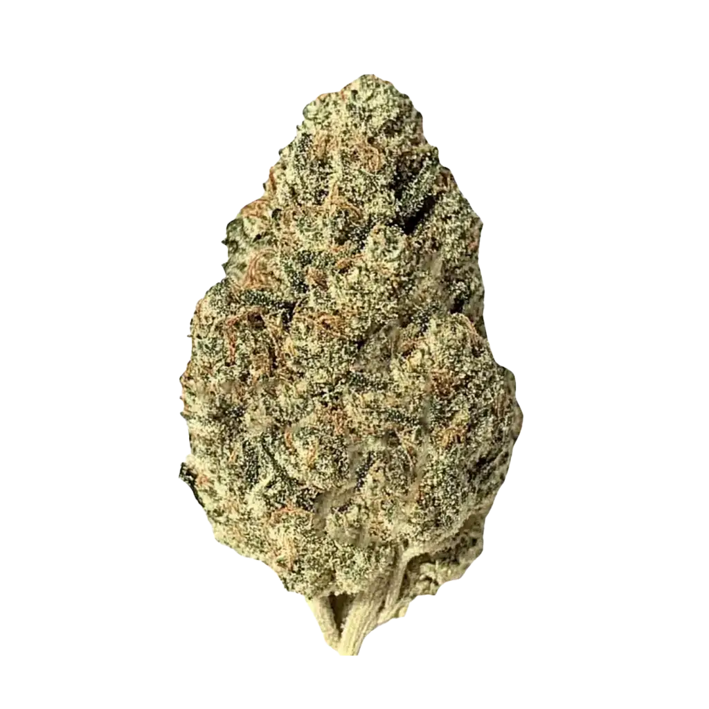 Biscotti Mintz (Indica) *Preorder--Arriving this week