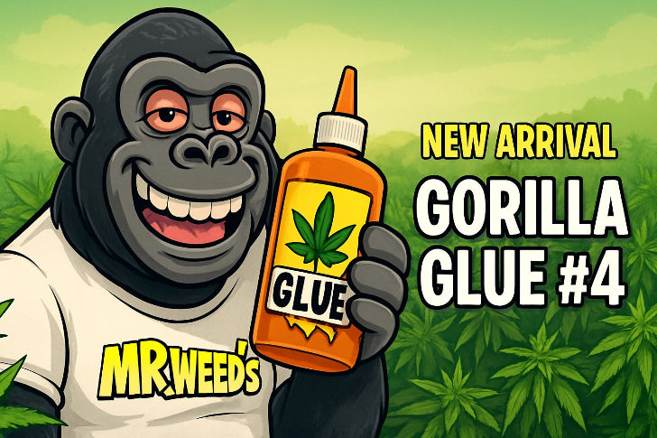 Cartoon gorilla holding a bottle labeled 'Gorilla Glue #4' with 'Mr. Weeds' branding against a green leafy background.