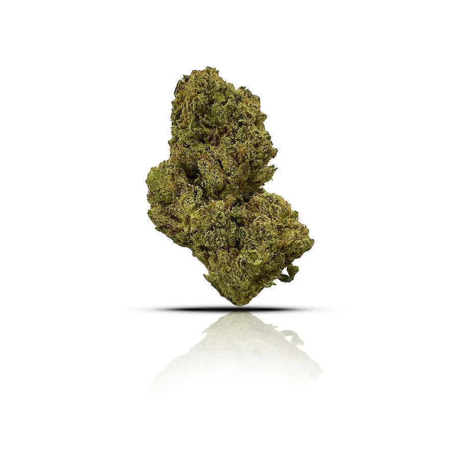 Lemon Cherry Gelato (Indoor) (Hybrid)