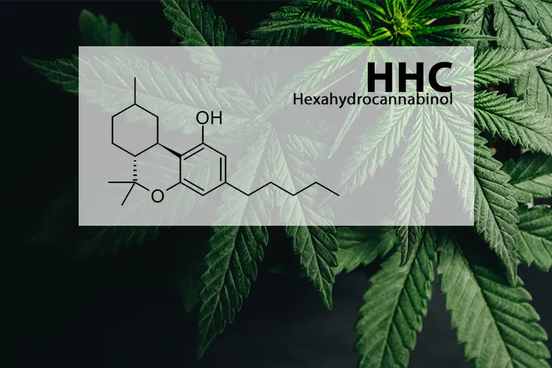 What is HHC and what are the benefits?