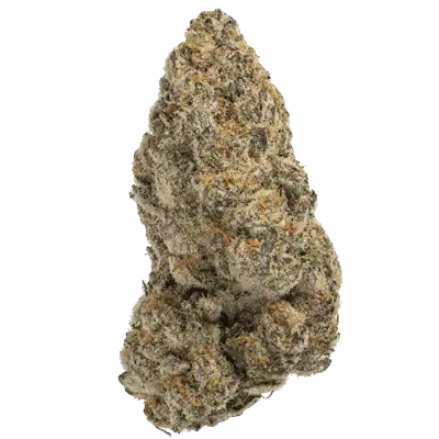 Warheads (Hybrid)
