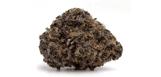 Purple Cookies (Hybrid) (Shake)
