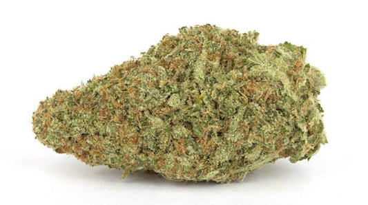 Lions Cake (Hybrid)