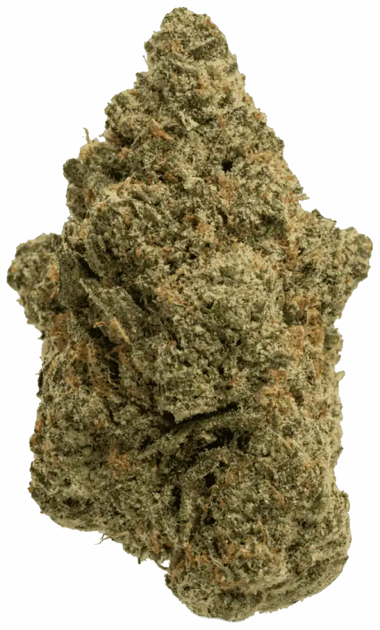 Alaskan Thunder Fuck (Sungrown)