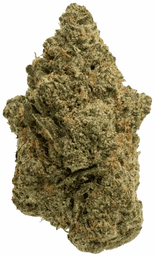 Alaskan Thunder Fuck (Sungrown)