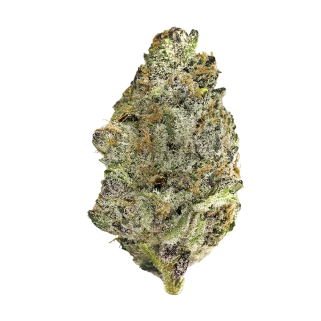 Super Boof (Hybrid) *Preorder--Arriving this week