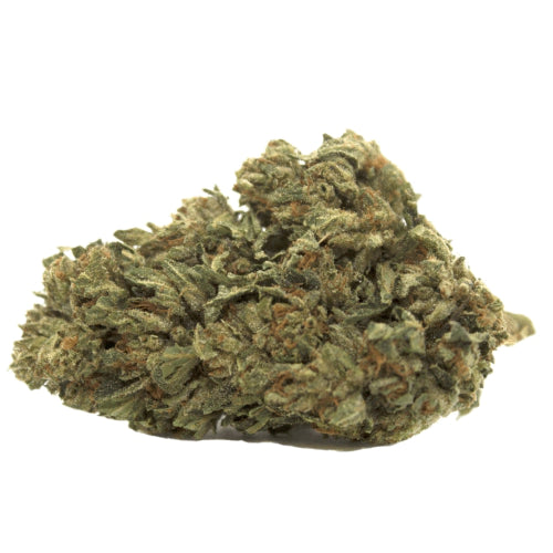 Cookie Crumble (Hybrid) *Preorder--Arriving this week