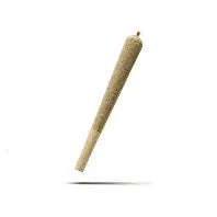 1g Infused Prerolls